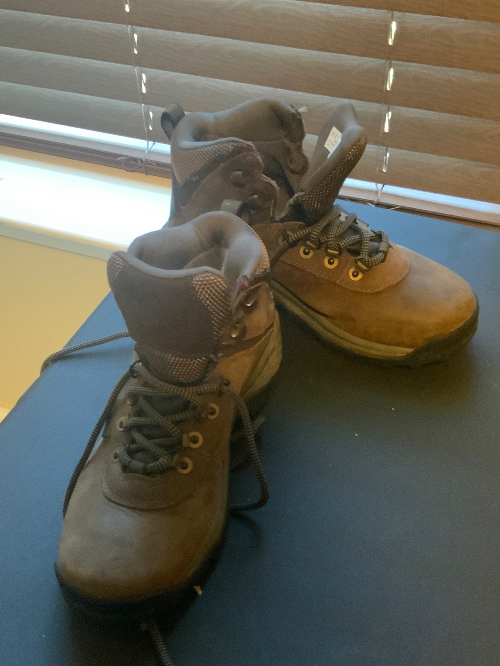 Timberland Brown Kids Waterproof Hiking Boots